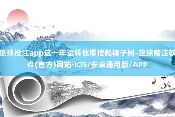 足球投注app这一年运转他覆按爬椰子树-足球赌注软件(官方)网站·IOS/安卓通用版/APP