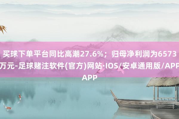 买球下单平台同比高潮27.6%；归母净利润为6573万元-足球赌注软件(官方)网站·IOS/安卓通用版/APP