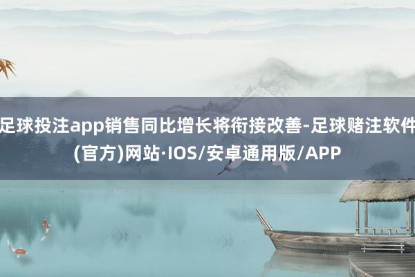 足球投注app销售同比增长将衔接改善-足球赌注软件(官方)网站·IOS/安卓通用版/APP