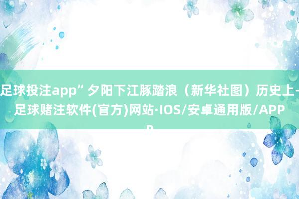 足球投注app”夕阳下江豚踏浪（新华社图）历史上-足球赌注软件(官方)网站·IOS/安卓通用版/APP