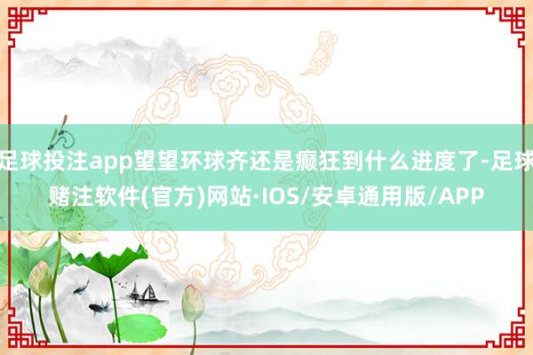 足球投注app望望环球齐还是癫狂到什么进度了-足球赌注软件(官方)网站·IOS/安卓通用版/APP