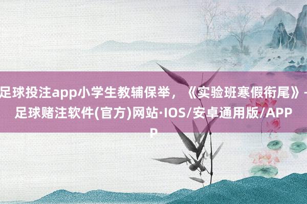 足球投注app小学生教辅保举，《实验班寒假衔尾》-足球赌注软件(官方)网站·IOS/安卓通用版/APP