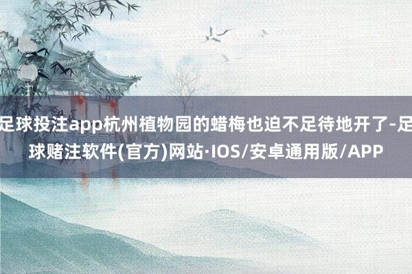足球投注app杭州植物园的蜡梅也迫不足待地开了-足球赌注软件(官方)网站·IOS/安卓通用版/APP