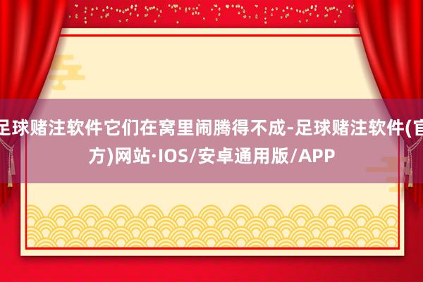 足球赌注软件它们在窝里闹腾得不成-足球赌注软件(官方)网站·IOS/安卓通用版/APP