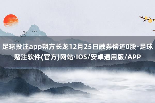 足球投注app朔方长龙12月25日融券偿还0股-足球赌注软件(官方)网站·IOS/安卓通用版/APP
