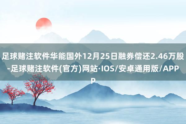足球赌注软件华能国外12月25日融券偿还2.46万股-足球赌注软件(官方)网站·IOS/安卓通用版/APP