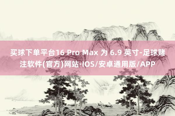 买球下单平台16 Pro Max 为 6.9 英寸-足球赌注软件(官方)网站·IOS/安卓通用版/APP