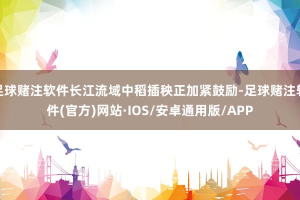 足球赌注软件长江流域中稻插秧正加紧鼓励-足球赌注软件(官方)网站·IOS/安卓通用版/APP