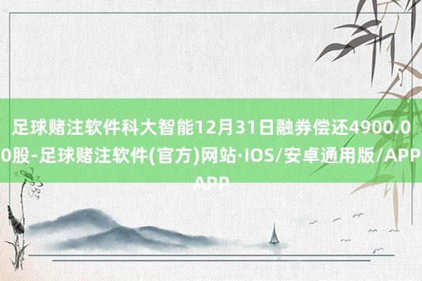 足球赌注软件科大智能12月31日融券偿还4900.00股-足球赌注软件(官方)网站·IOS/安卓通用版/APP