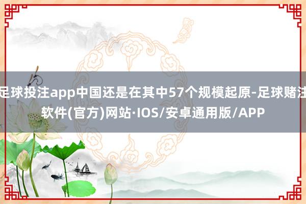 足球投注app中国还是在其中57个规模起原-足球赌注软件(官方)网站·IOS/安卓通用版/APP