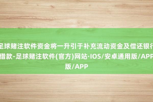足球赌注软件资金将一升引于补充流动资金及偿还银行借款-足球赌注软件(官方)网站·IOS/安卓通用版/APP