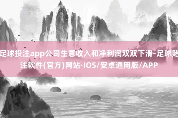 足球投注app公司生意收入和净利润双双下滑-足球赌注软件(官方)网站·IOS/安卓通用版/APP