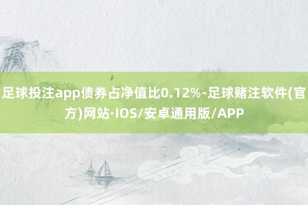 足球投注app债券占净值比0.12%-足球赌注软件(官方)网站·IOS/安卓通用版/APP