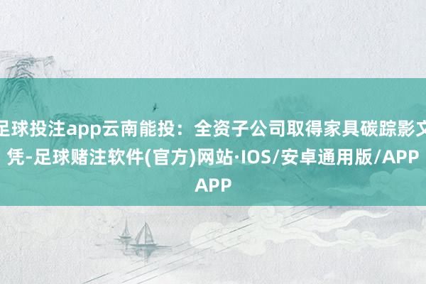 足球投注app云南能投：全资子公司取得家具碳踪影文凭-足球赌注软件(官方)网站·IOS/安卓通用版/APP