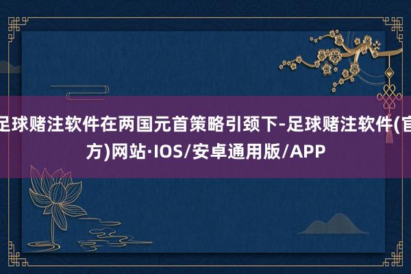 足球赌注软件在两国元首策略引颈下-足球赌注软件(官方)网站·IOS/安卓通用版/APP