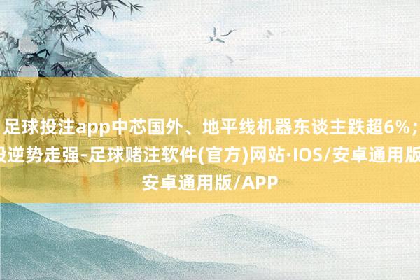 足球投注app中芯国外、地平线机器东谈主跌超6%；银行股逆势走强-足球赌注软件(官方)网站·IOS/安卓通用版/APP