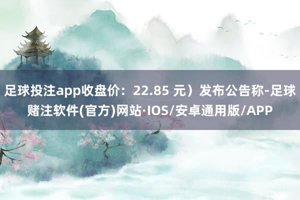 足球投注app收盘价：22.85 元）发布公告称-足球赌注软件(官方)网站·IOS/安卓通用版/APP