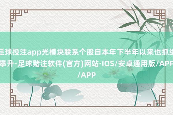 足球投注app光模块联系个股自本年下半年以来也抓续攀升-足球赌注软件(官方)网站·IOS/安卓通用版/APP