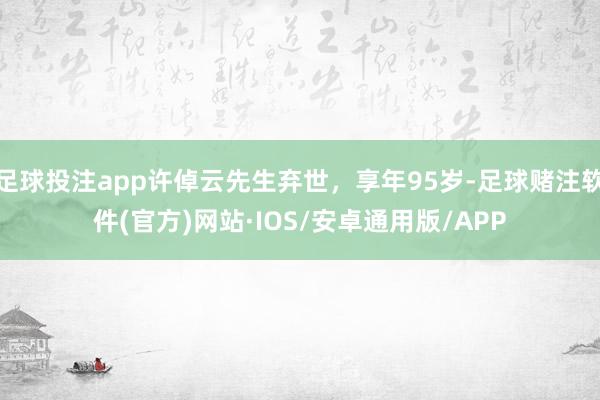 足球投注app许倬云先生弃世，享年95岁-足球赌注软件(官方)网站·IOS/安卓通用版/APP