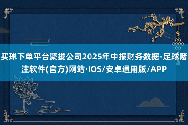 买球下单平台聚拢公司2025年中报财务数据-足球赌注软件(官方)网站·IOS/安卓通用版/APP