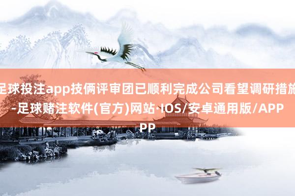 足球投注app技俩评审团已顺利完成公司看望调研措施-足球赌注软件(官方)网站·IOS/安卓通用版/APP