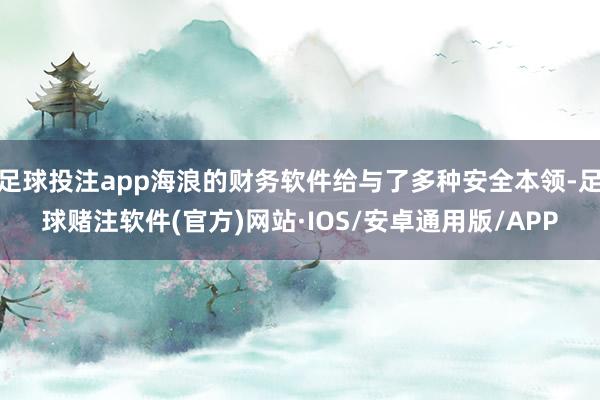 足球投注app海浪的财务软件给与了多种安全本领-足球赌注软件(官方)网站·IOS/安卓通用版/APP