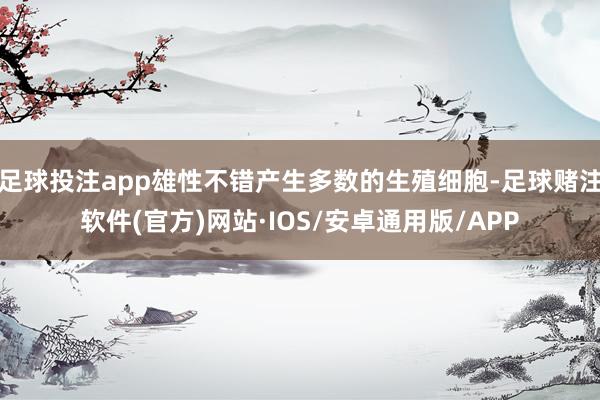 足球投注app雄性不错产生多数的生殖细胞-足球赌注软件(官方)网站·IOS/安卓通用版/APP