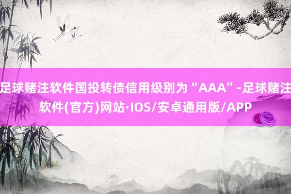 足球赌注软件国投转债信用级别为“AAA”-足球赌注软件(官方)网站·IOS/安卓通用版/APP