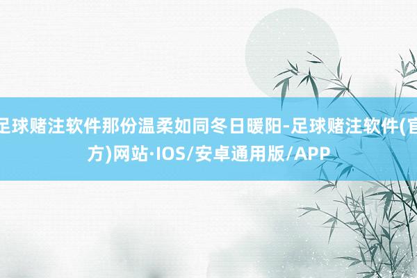 足球赌注软件那份温柔如同冬日暖阳-足球赌注软件(官方)网站·IOS/安卓通用版/APP
