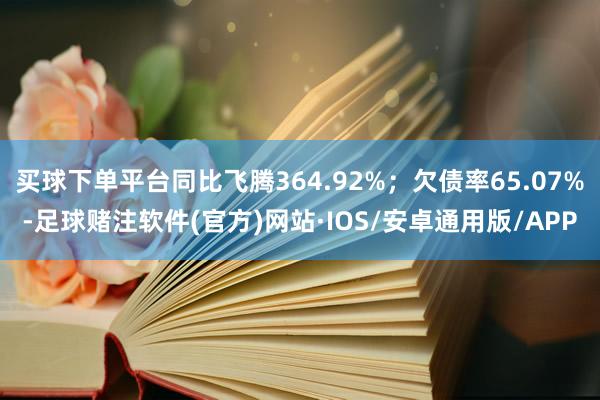 买球下单平台同比飞腾364.92%；欠债率65.07%-足球赌注软件(官方)网站·IOS/安卓通用版/APP