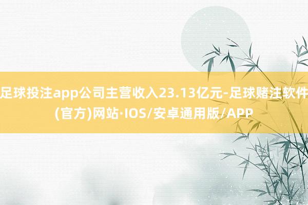 足球投注app公司主营收入23.13亿元-足球赌注软件(官方)网站·IOS/安卓通用版/APP