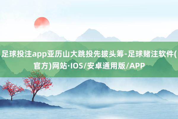 足球投注app亚历山大跳投先拔头筹-足球赌注软件(官方)网站·IOS/安卓通用版/APP
