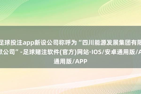 足球投注app新设公司称呼为“四川能源发展集团有限包袱公司”-足球赌注软件(官方)网站·IOS/安卓通用版/APP