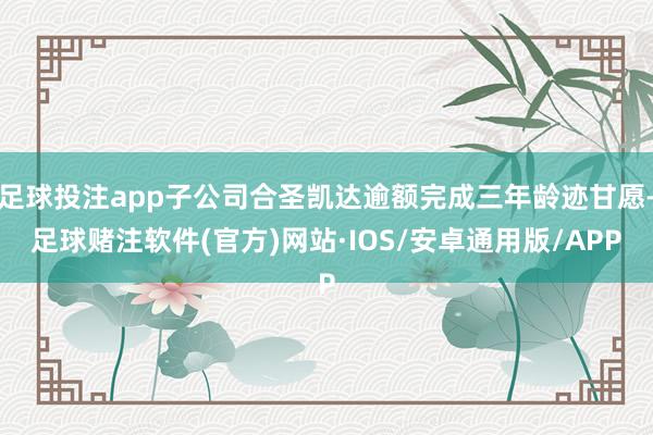 足球投注app子公司合圣凯达逾额完成三年龄迹甘愿-足球赌注软件(官方)网站·IOS/安卓通用版/APP