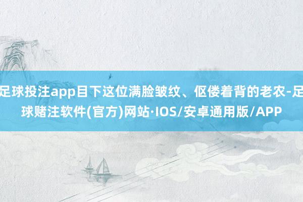 足球投注app目下这位满脸皱纹、伛偻着背的老农-足球赌注软件(官方)网站·IOS/安卓通用版/APP