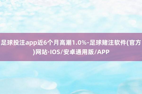 足球投注app近6个月高潮1.0%-足球赌注软件(官方)网站·IOS/安卓通用版/APP
