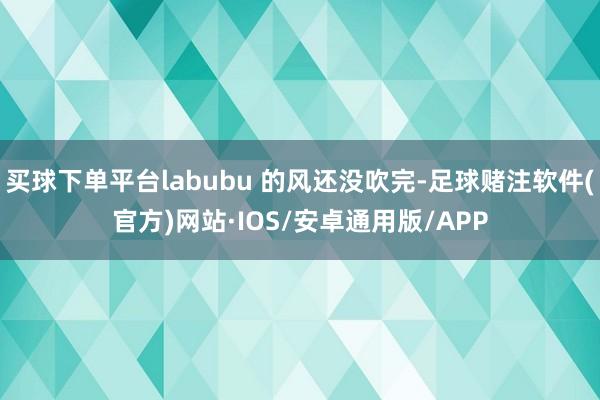 买球下单平台labubu 的风还没吹完-足球赌注软件(官方)网站·IOS/安卓通用版/APP
