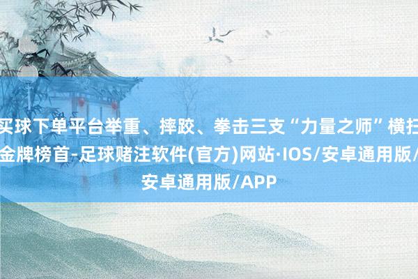 买球下单平台举重、摔跤、拳击三支“力量之师”横扫单项金牌榜首-足球赌注软件(官方)网站·IOS/安卓通用版/APP