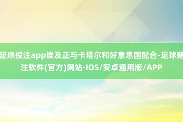 足球投注app埃及正与卡塔尔和好意思国配合-足球赌注软件(官方)网站·IOS/安卓通用版/APP
