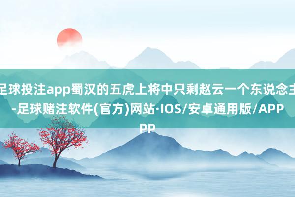 足球投注app蜀汉的五虎上将中只剩赵云一个东说念主-足球赌注软件(官方)网站·IOS/安卓通用版/APP