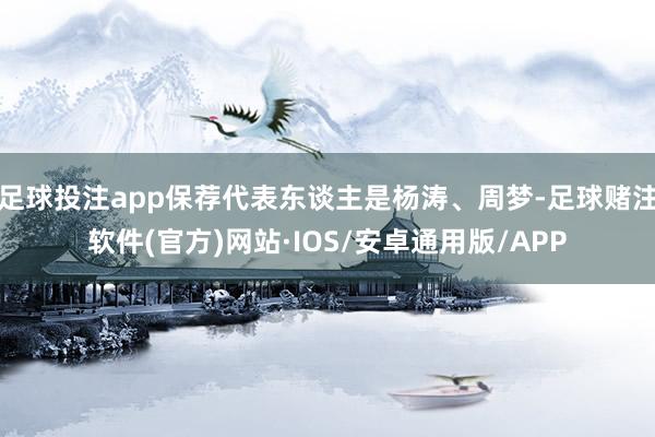足球投注app保荐代表东谈主是杨涛、周梦-足球赌注软件(官方)网站·IOS/安卓通用版/APP