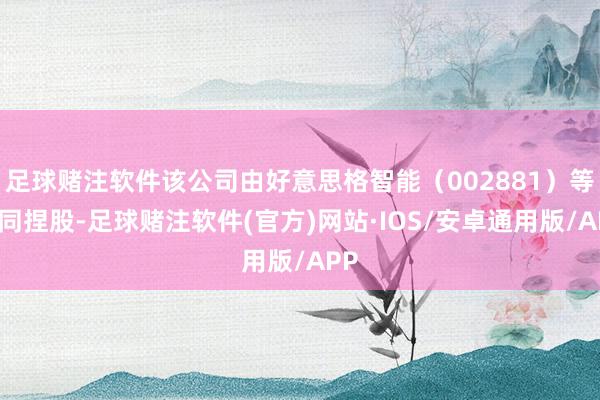足球赌注软件该公司由好意思格智能（002881）等共同捏股-足球赌注软件(官方)网站·IOS/安卓通用版/APP