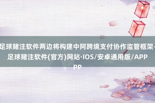 足球赌注软件两边将构建中阿跨境支付协作监管框架-足球赌注软件(官方)网站·IOS/安卓通用版/APP