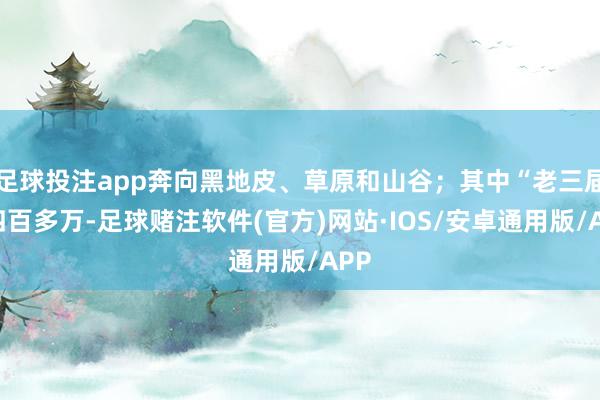 足球投注app奔向黑地皮、草原和山谷；其中“老三届”四百多万-足球赌注软件(官方)网站·IOS/安卓通用版/APP