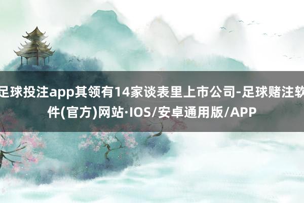 足球投注app其领有14家谈表里上市公司-足球赌注软件(官方)网站·IOS/安卓通用版/APP