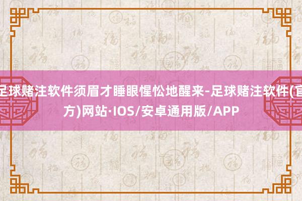 足球赌注软件须眉才睡眼惺忪地醒来-足球赌注软件(官方)网站·IOS/安卓通用版/APP