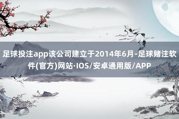 足球投注app该公司建立于2014年6月-足球赌注软件(官方)网站·IOS/安卓通用版/APP