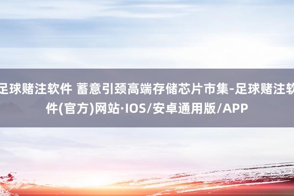 足球赌注软件 蓄意引颈高端存储芯片市集-足球赌注软件(官方)网站·IOS/安卓通用版/APP